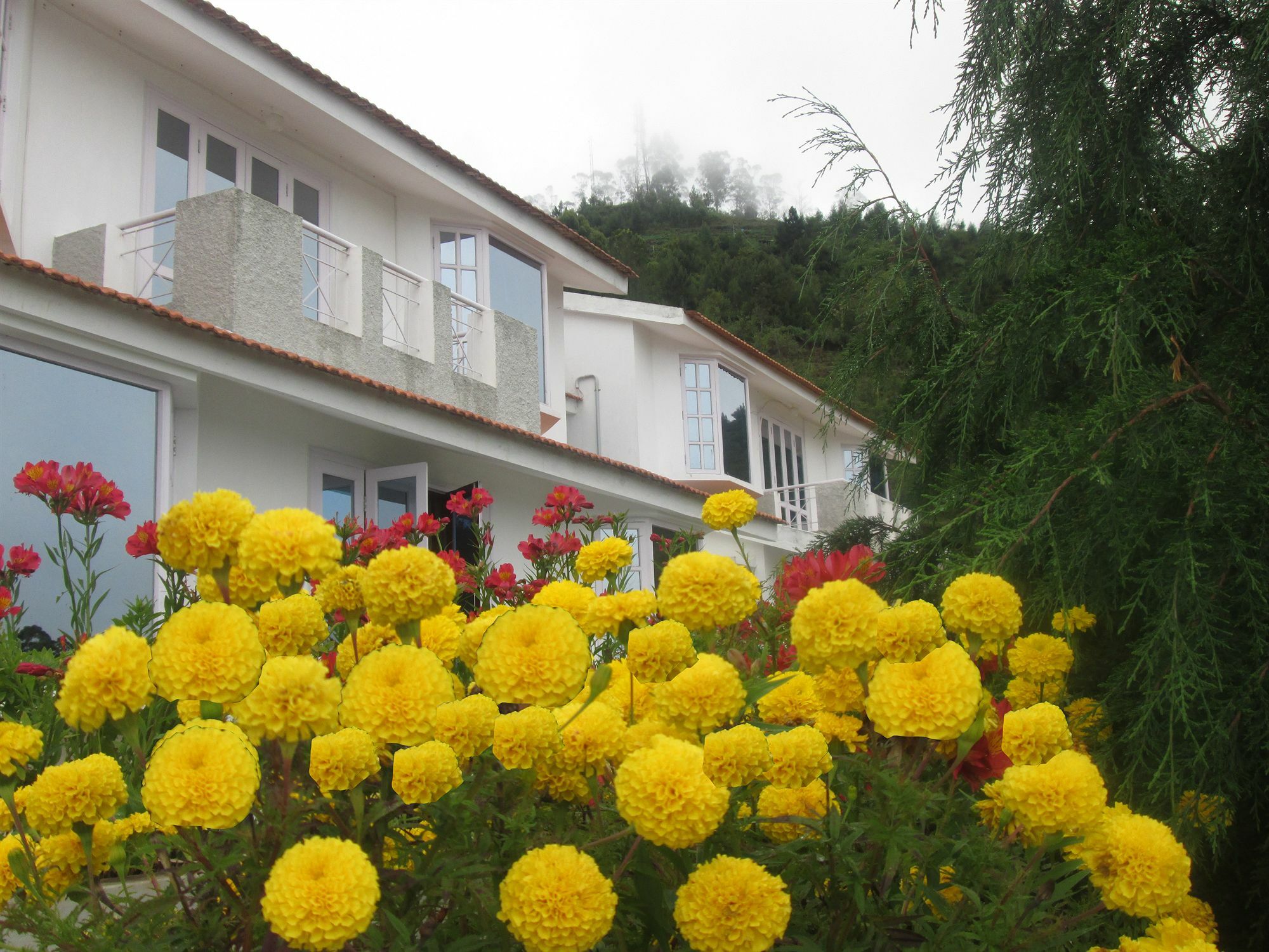 Country Club Valley Vista Кодайканал Экстерьер фото